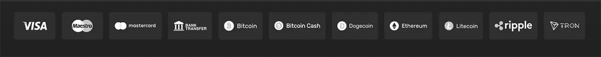 Payment methods row showing Visa, Maestro, Mastercard, bank transfer, Bitcoin, Bitcoin Cash, Dogecoin, Ethereum, Litecoin, Ripple, and TRON on a dark background.