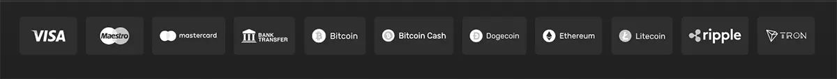 Payment methods row showing Visa, Maestro, Mastercard, bank transfer, Bitcoin, Bitcoin Cash, Dogecoin, Ethereum, Litecoin, Ripple, and TRON on a dark background.